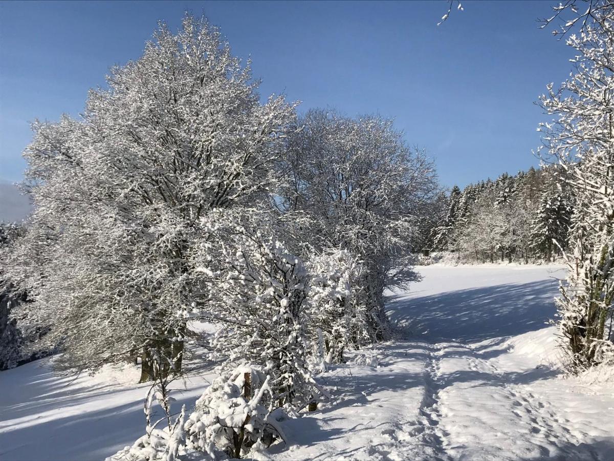 Villa Im Bongert - Tor Zum Nationalpark Eifel Hellenthal Buitenkant foto